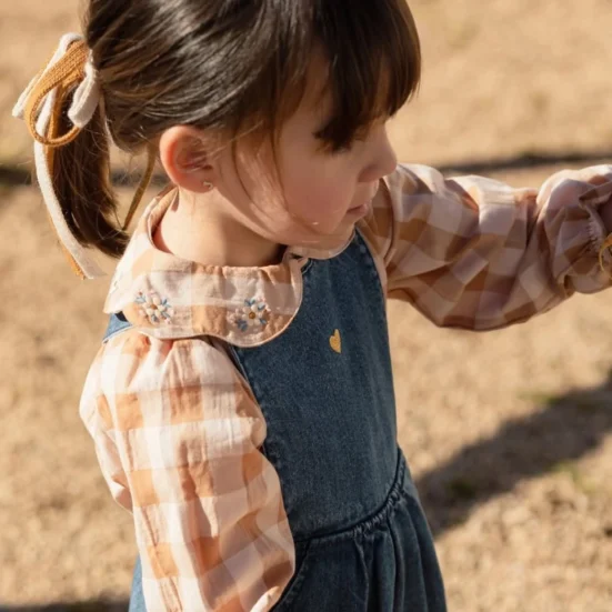 camisa petalos bordada vichy cinamon,mi canesu invierno 2025, moda infantil española