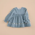 vestido bordado jaretas acero, mi canesu, invierno 2025